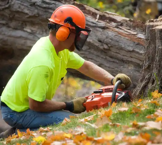 tree services Clay Center